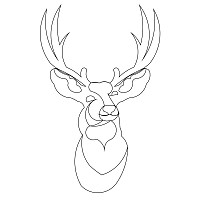 mule deer head